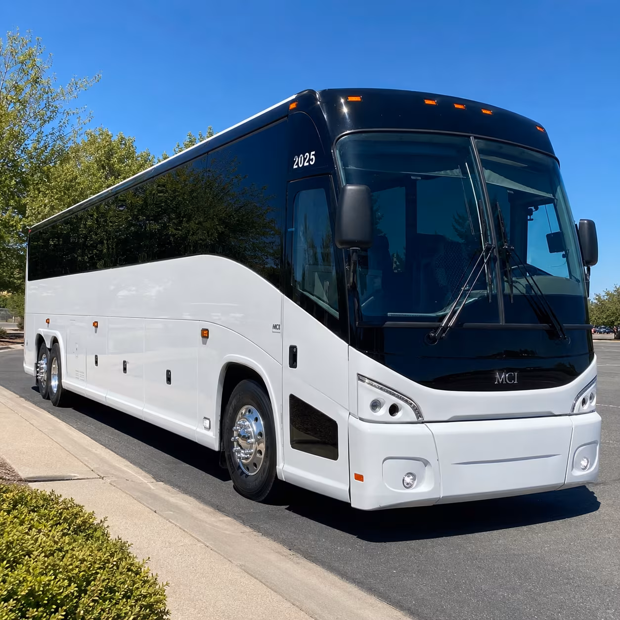 long distance bus trips from savannah to charleston and the carolinas