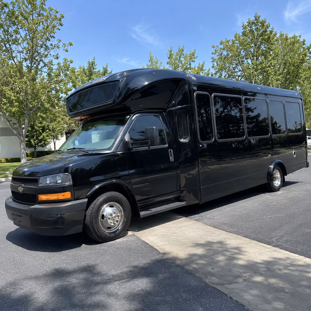 savannah 15 passenger party bus