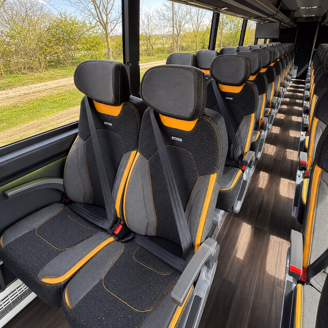 school buses for nature and wildlife field trips near savannah